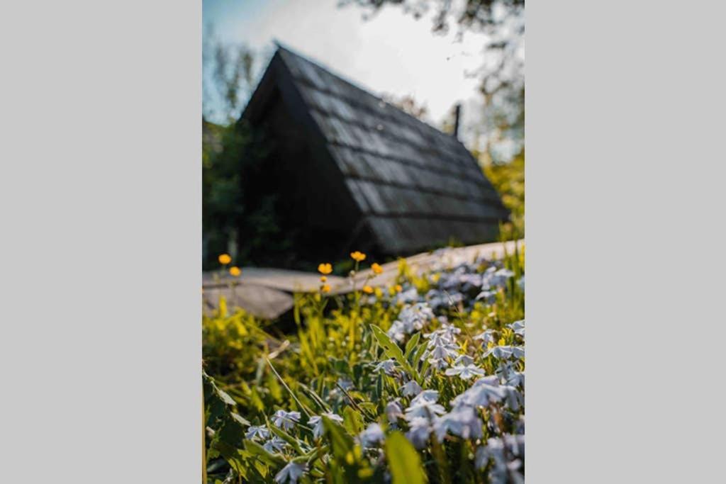 Zbojnicke Chalupky Villa Cavoj ภายนอก รูปภาพ